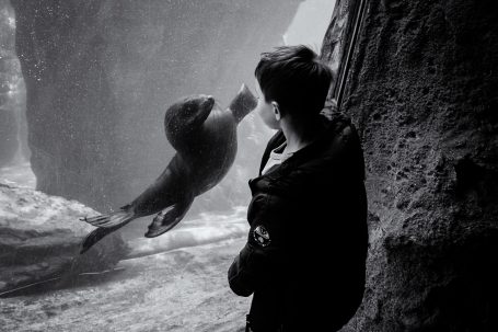 Tiergrotten, Zoo am Meer, Junge mit Seehund